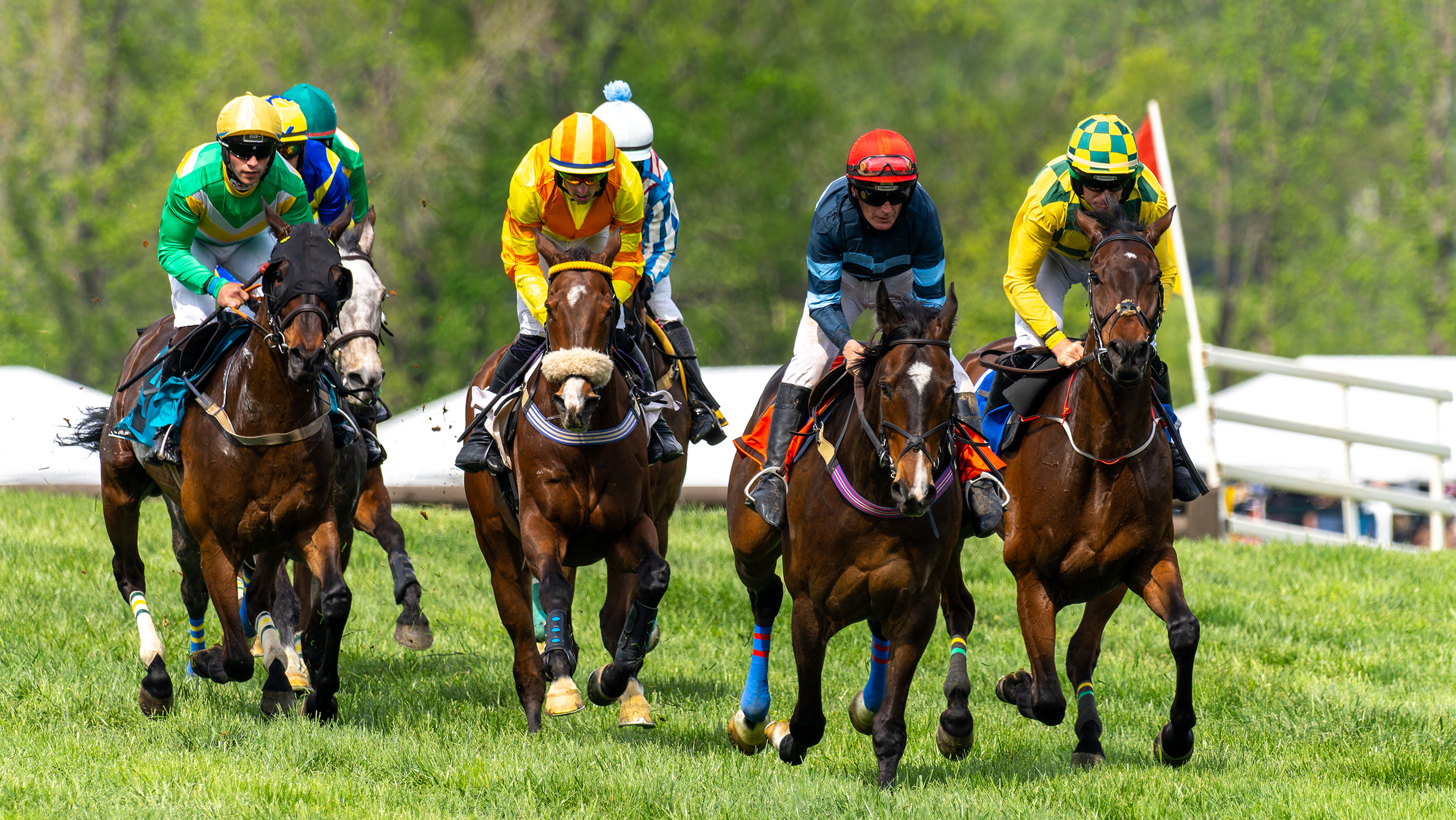 The Virginia Gold Cup 2025
